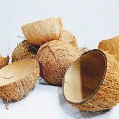 Raw coconut shells - Image 2