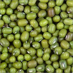 Green Mung Beans Grade A, Wholesale Bulk Supply, Cheap and High Quality – product photo 4, product detail gallery