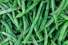 Cluster Beans Suppliers In India Address - Color GREEN Style Fresh Content N/A Model Number pec Ingredients Beans Type cluster - Image 4