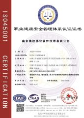 ISO 45001 certificate from Nanjing Deshiweiye Software Technology Co., Ltd