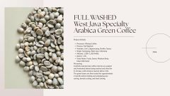 ndonesian Specialty Arabica Green Coffee Beans – West Java Full Washed - Image 2