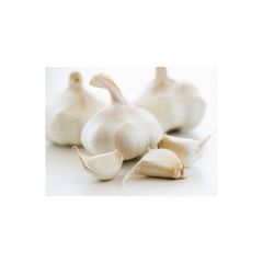 Premium Quality Wholesale Fresh Peeled Garlic For Sale In Cheap Price - Image 3
