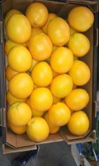 Fruit and vegetable - Image 1