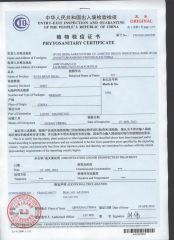 certifacate certificate of Wudi Deda Agriculture Co., Limited – certificate photo, supplier certificates section