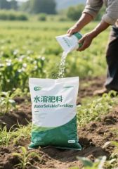 Hot Selling Versatile Easy - to - Use Water-Soluble Fertilizer for Fruit Trees - Image 6
