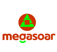 Qingdao Megasoar Machinery Co., Ltd