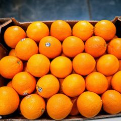 FRESH MIDKNIGHT VALENCIA ORANGE FOR SALE!! CLASS 1 EXPORT QUALITY MIDKNIGHT VALENCIA ORANGES FOR EXPORT – product photo 2, product detail gallery