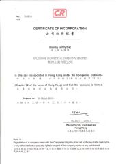 permit lisence certificate of Qingdao Hvsun Industry Co., Ltd. – certificate photo, supplier certificates section