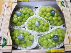 SHine Muscat  18brix over, 4kg/ctn - Image 3