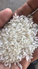 PARMAL RICE - NON BASMATI – product photo 1, product detail gallery