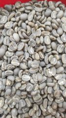 Arabica Gayo GD 1 Multivarietas 1300 - 1500 Mdpl – product photo 2, product detail gallery