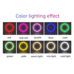 10inch RGB Ring Light 96PCS 3000-6500K 8W USB 80CRI Black 890g 15D MOQ100 - Image 1