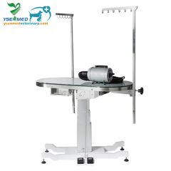 Medical Equipment Ysft-889 Ace Deluxe Illumination Grooming Table - Image 3