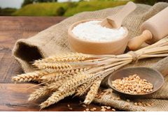 Flour from Wheat - Image 2