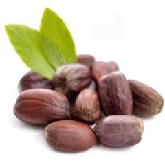 Jojoba Seed Oil - Image 1