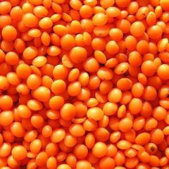 Premium Quality Red Lentils - Image 1