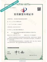 Disposable Sampling Swab certificate from Changsha Renji Medical Equipments Co., Ltd.