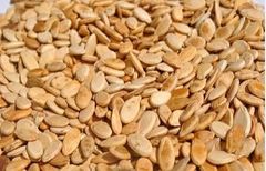 Premium Sudanese Watermelon Seeds Cleaned Grade 1 - Image 5