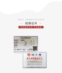 BE411 certificate from Guangzhou Xinglaika Co., Ltd.