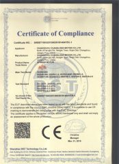 CE 1 certificate from Changzhou Changlong Motor Co., Ltd.