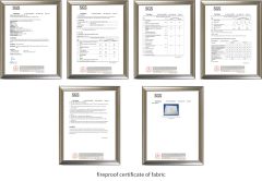 SGS certificate from Changzhou Kaiqi Decoration Supplies Co., Ltd.