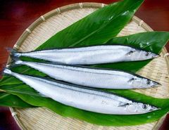 FROZEN PACIFIC SAURY Shelf Life 24 MONTHS Preservation Method Frozen Sourcing Sustainably Sourced Processing Type WILD CAUGHT, IQF - Image 2