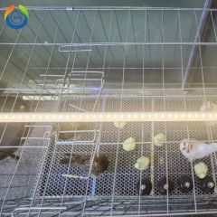 IP67 50000h Three-Color Dimmable LED Poultry Light Tube for Chicken Farming - Image 1