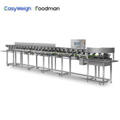 Automatic Weight Grader and Sorting Machine for Poultry and Seafood Processing - Image 2