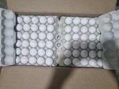 Egg – product photo 2, product detail gallery