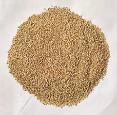 Quinoa Texture Seed Applications Salads, Soups, Breakfasts, Baked Goods Nutritional Profile High In Protein, Fiber, And Other Nutrients - Image 1