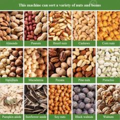 Automatic Processing Line Peanut Kernel Nut Size Grader Hazelnut Cracking Shell Almond Grading Machine in Low Price - Image 6