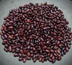Premium Red Kidney Beans (Small) - Image 3