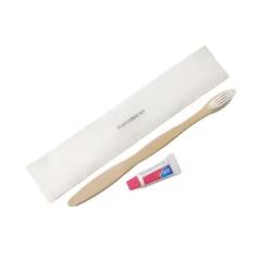 Travel-Friendly Hotel Toothbrush with Mini Toothpaste Dental Kit - Image 6