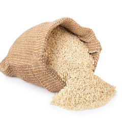 Wholesale Best Price Natural White Premium Sesame Seeds - Image 2