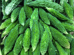 Bitter Gourd - Image 2