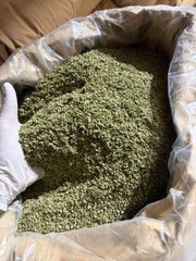 Oregano – product photo 1, product detail gallery