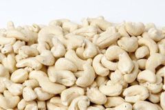 Wholesale Premium Cashew Nuts (W320/W240) – Bulk Supply for Export & Food Industry - Image 2
