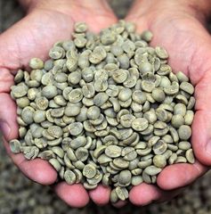 Agriculture, Food & Beverage – product photo 1, product detail gallery