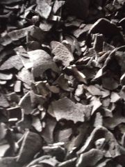 COCONUT SHELL CHARCHOAL - Image 2