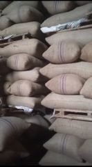 Cocoa beans – product photo 1, product detail gallery