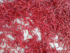 TEJA S17 chilli - Image 1