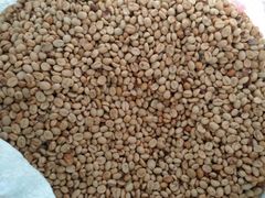 Coffe Beans Robusta From Indonesia – product photo 4, product detail gallery