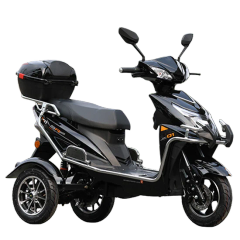 Factory Direct Three-Wheeled Electric Tricycle with Guardrail Tricycle - Image 2