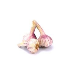 Best Quality Wholesale Fresh Peeled Garlic For Sale In Cheap Price - Image 3