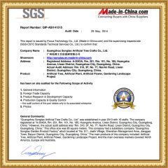 SGS of Certificate certificate from Guangdong Songtao Co., Ltd.