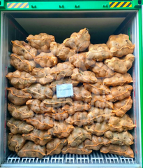 Fresh Coconut from Indonesia - Semi Husked Coconut – product photo 2, product detail gallery
