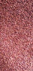 Bean, Nut & Seed – product photo 1, product detail gallery