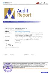 TUV Certificate 1 certificate from Hebei Fensu Power Technology Co., Ltd.
