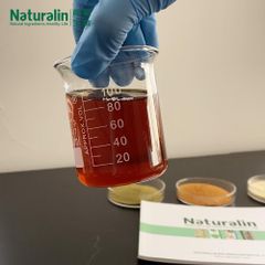 Rosemary Extract - Image 4