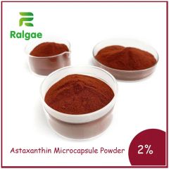 Astaxanthin Microcapsule Powder 2 Cold Water Soluble Antioxidant Nutrition Ingredient - Image 3